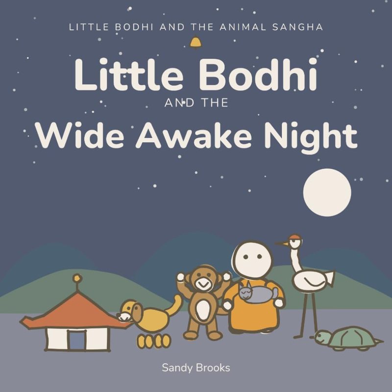 Cover of Little Bodhi And The Wide Awake Night